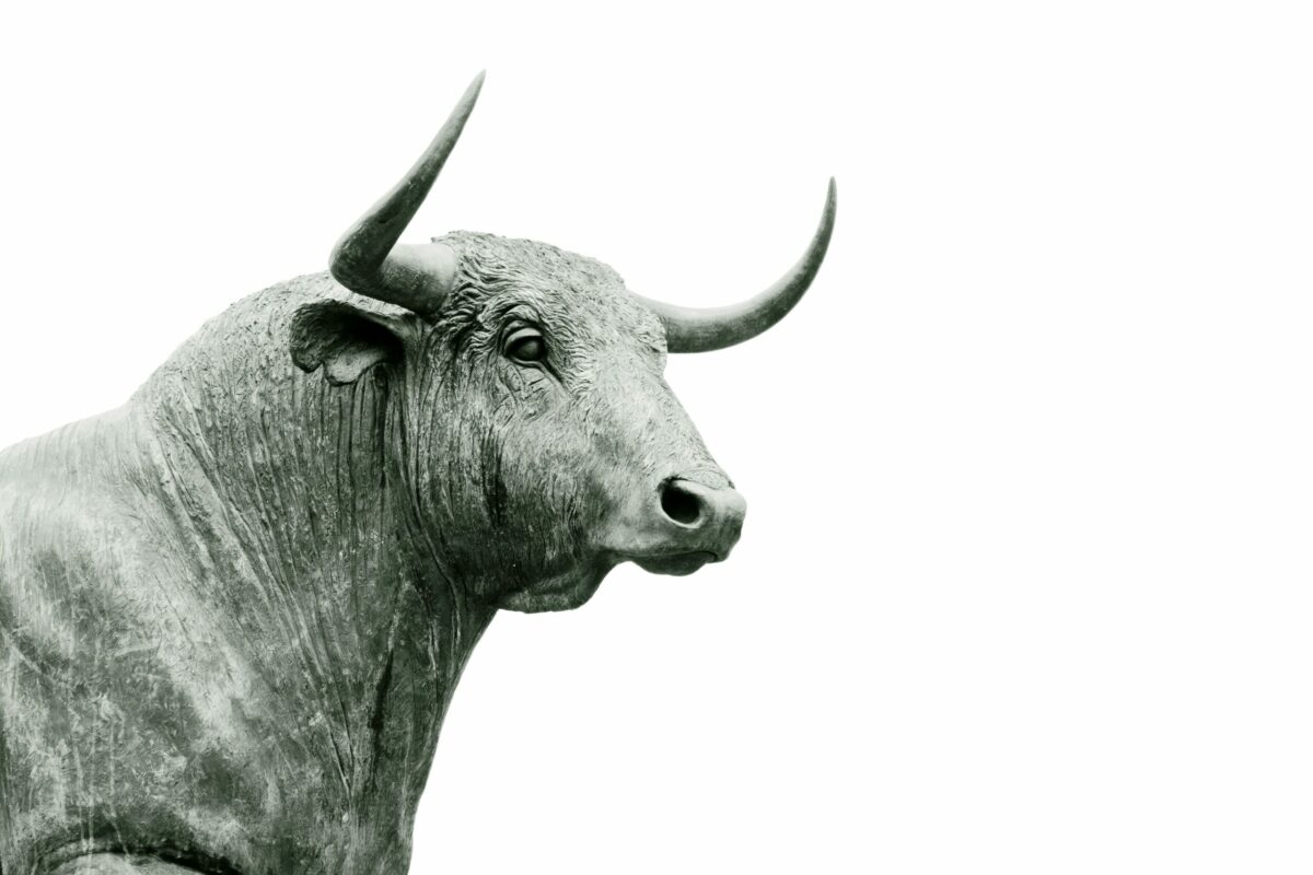 Close-up of a bull statue with prominent horns and detailed texture, viewed from the side against a plain white background.